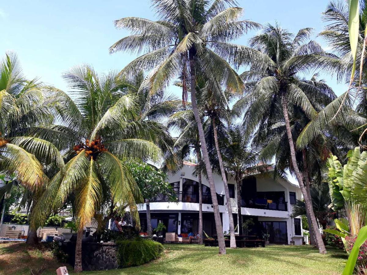 La Maison De La Plage - Guest House Albion Luaran gambar