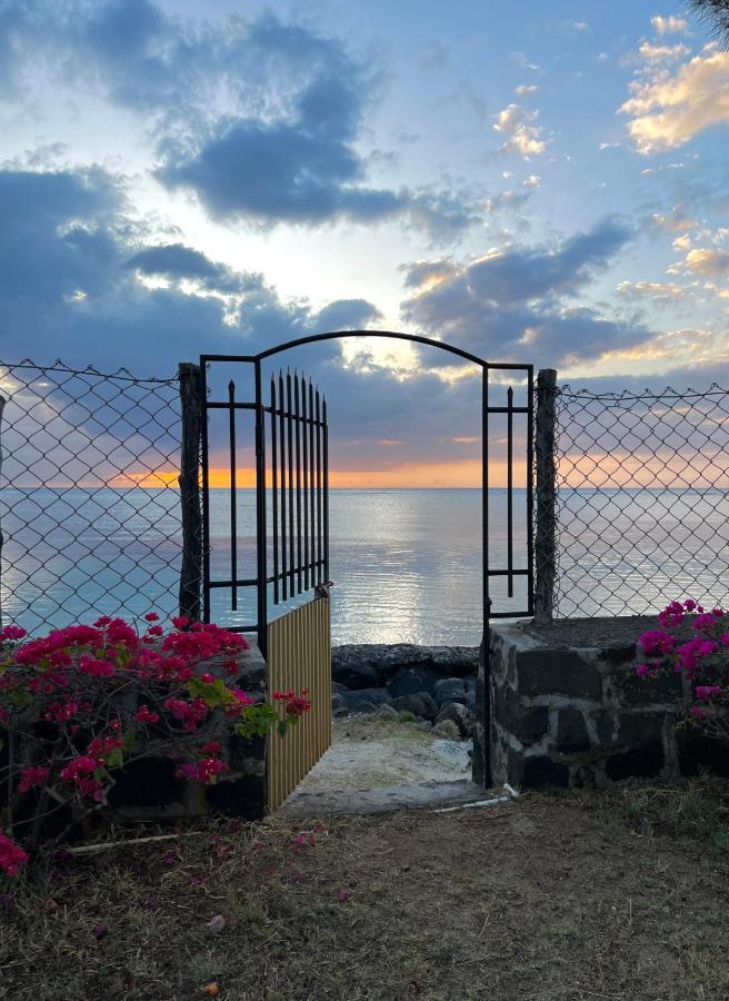 La Maison De La Plage - Guest House Albion Luaran gambar