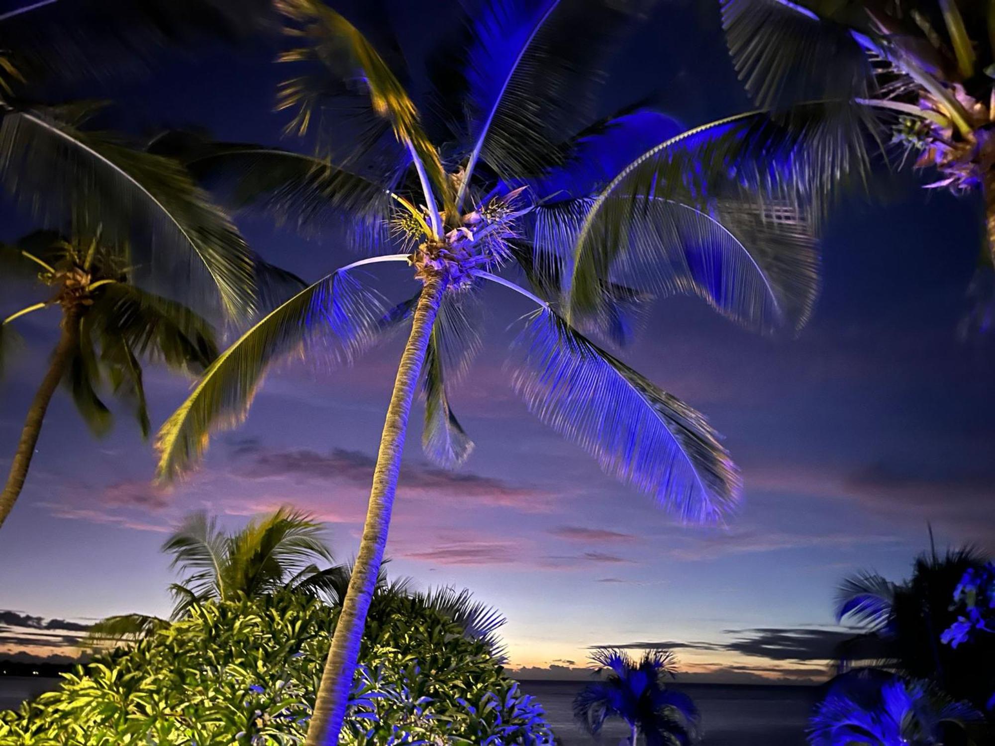 La Maison De La Plage - Guest House Albion Luaran gambar